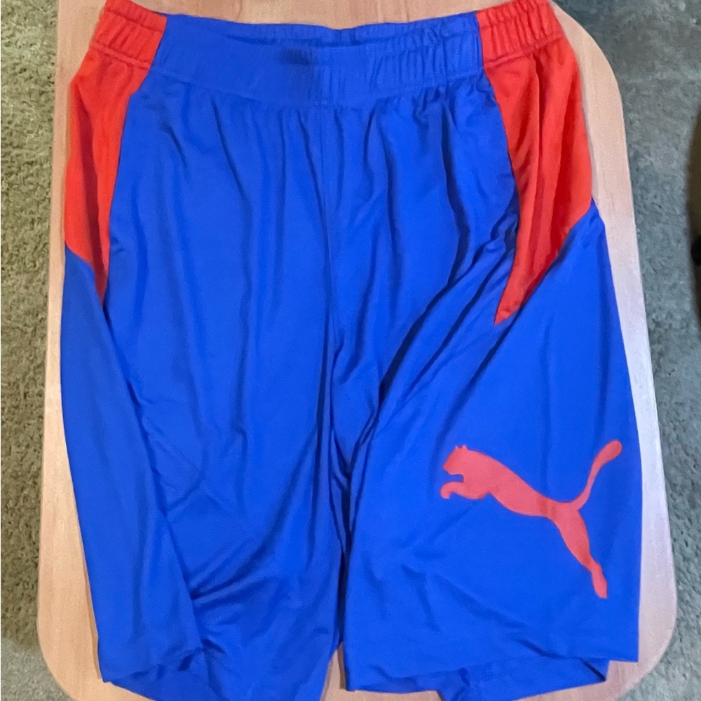 Puma Men’s Basketball Shorts with Breathable Fabric